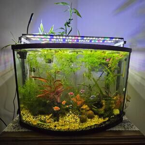 Aquarium Light Risers Extended Dual Tab Hydroponic Aqua-Scape Rimmed Fish Tanks